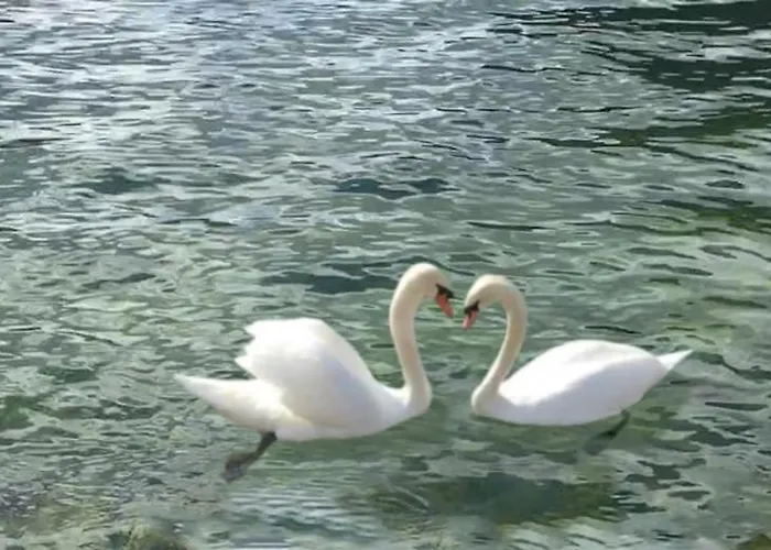 Svanen Am Apartment *